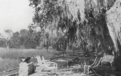 Sleep well. Eat well. Play well. Don’t worry.