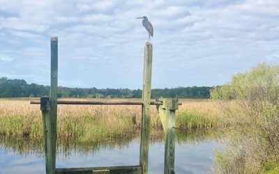 Caw Caw Interpretive Center