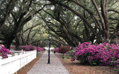 Maryville-Ashleyville Goes Upscale