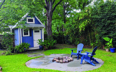 She Shed, He Shed, Tree Shed, We All Shed!