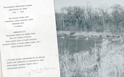 West Ashley Flashback — ShaMelLon’s Golden Anniversary