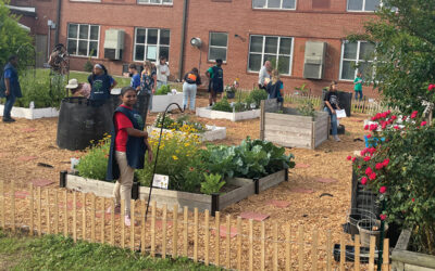 The Power of Flowers (and veggies)