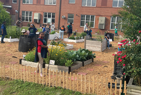 The Power of Flowers (and veggies)