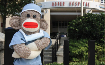 West Ashley Wanderer — Roadside Wonders & Quirky Collections