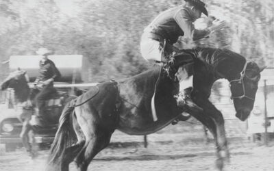 West Ashley Flashback — Returning to the Rodeo