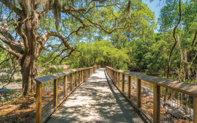 A Public Park 350 Years  in the Making
